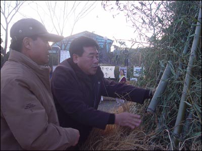 대나무 통에 소원을 담아 달집에 걸고 태우면 소원이 이뤄진단다. 